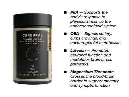 Cerebral - Cognitive Support 60ct
